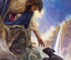 good shepherd